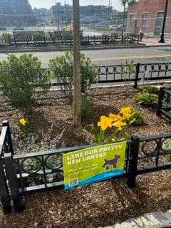 Hackensack Dog Park photo 2